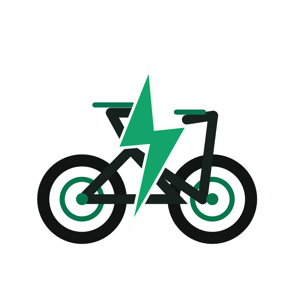 Bici Elettrica